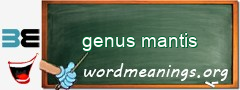 WordMeaning blackboard for genus mantis